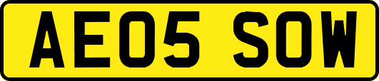 AE05SOW