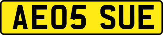 AE05SUE