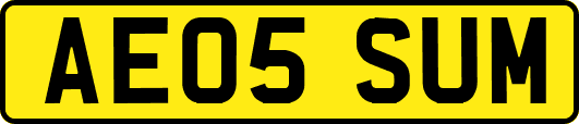 AE05SUM