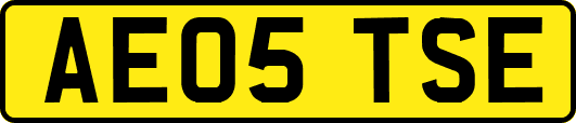 AE05TSE