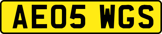 AE05WGS