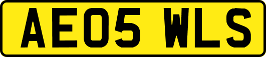 AE05WLS