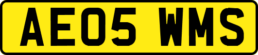 AE05WMS