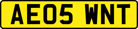 AE05WNT