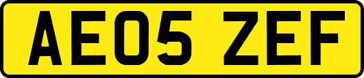 AE05ZEF