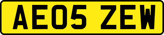 AE05ZEW