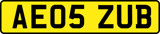 AE05ZUB