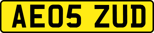 AE05ZUD