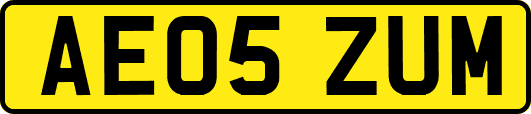 AE05ZUM