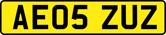 AE05ZUZ
