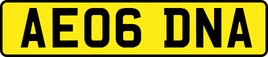 AE06DNA