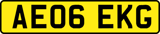 AE06EKG