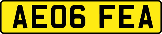 AE06FEA