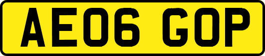 AE06GOP