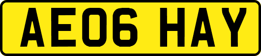 AE06HAY