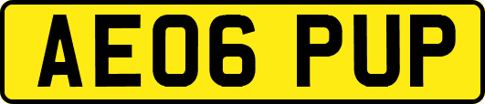 AE06PUP