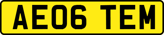 AE06TEM