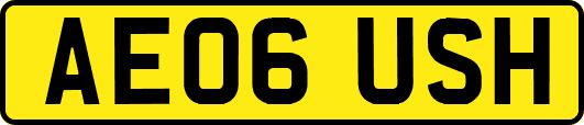 AE06USH