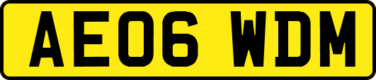 AE06WDM