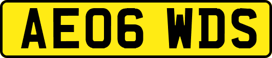 AE06WDS