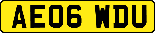 AE06WDU