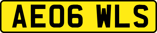 AE06WLS