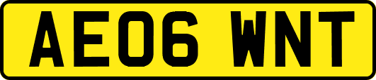 AE06WNT