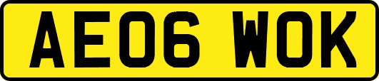 AE06WOK