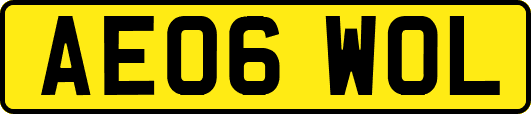 AE06WOL