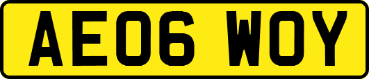 AE06WOY