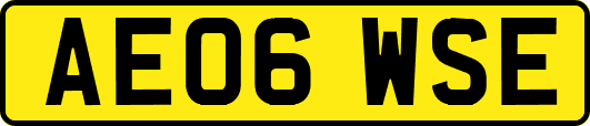 AE06WSE
