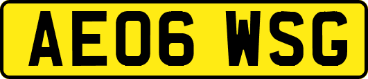 AE06WSG