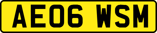 AE06WSM