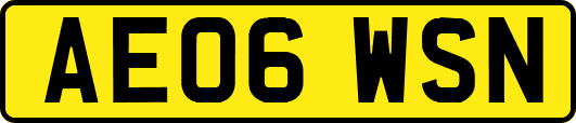 AE06WSN