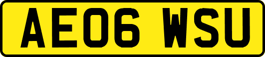 AE06WSU