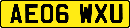 AE06WXU