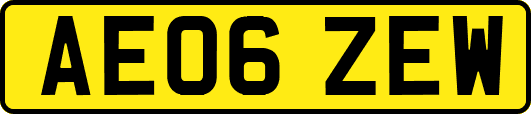 AE06ZEW
