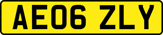 AE06ZLY