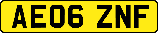 AE06ZNF