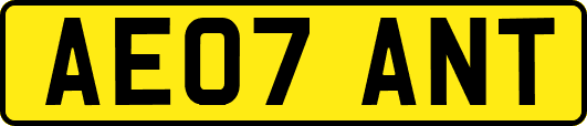 AE07ANT
