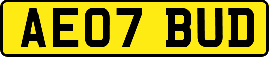 AE07BUD