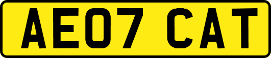 AE07CAT