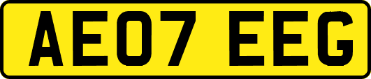 AE07EEG