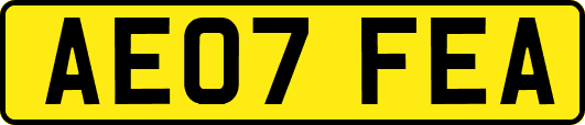 AE07FEA
