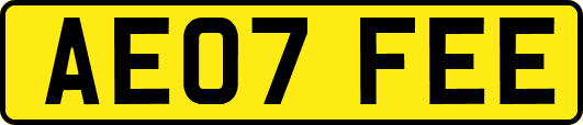 AE07FEE