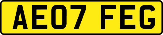 AE07FEG