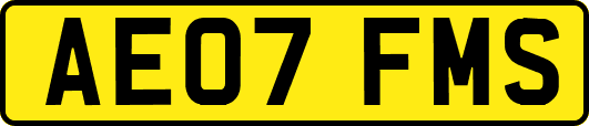 AE07FMS