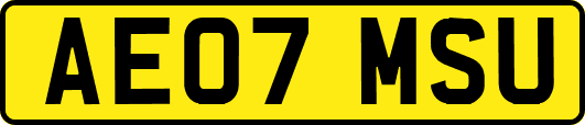 AE07MSU