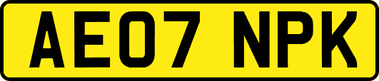 AE07NPK