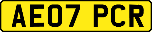 AE07PCR